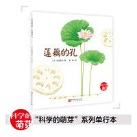 莲藕的孔