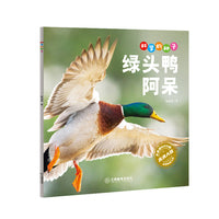 科学的种子：绿头鸭阿呆3-8岁儿童百科认识科学概念 养成科学思维 激发科学探索欲
