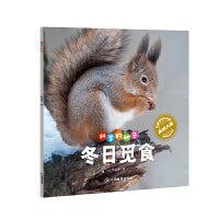 科学的种子：冬日觅食3-8岁儿童百科认识科学概念 养成科学思维 激发科学探索欲