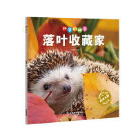 科学的种子：落叶收藏家3-8岁儿童百科认识科学概念 养成科学思维 激发科学探索欲