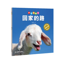 科学的种子：回家的路3-8岁儿童百科认识科学概念 养成科学思维 激发科学探索欲