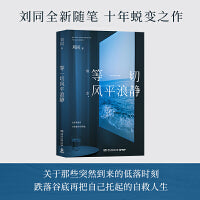 等一切风平浪静（刘同2024年全新书散文随笔集） 刘同全新随笔，十年蜕变之作，希望每一个故事，都能帮你撬走一些内心的藤壶