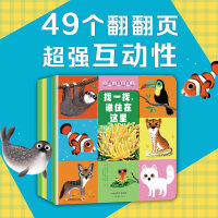 揭秘动物翻翻书（套装全4册）