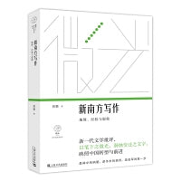 新南方写作：地缘、经验与想象（微光·青年批评家集丛（第四辑）；唐弢青年文学奖得主全新专著；王德威推荐作序）