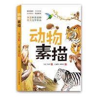 动物素描