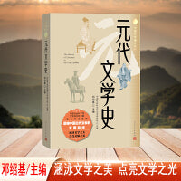 元代文学史（中国文学通史系列）