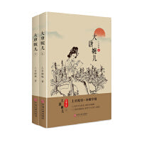 大唐婉儿（上下册）