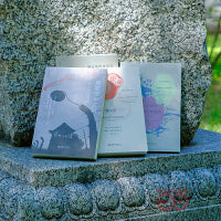 西方文艺学经典著作4册(镜与灯+二十世纪西方文学理论+通过身体来思考+奥斯维辛之后)
