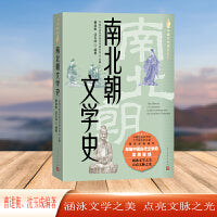 南北朝文学史（中国文学通史系列）