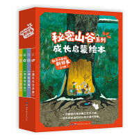 秘密山谷的新鲜事（全4册）
