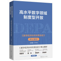 高水平数字领域制度型开放
