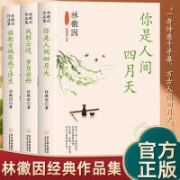 林徽因作品集全套3册 林徽因文集林徽因传作品全集诗集散文小说 青春情感散文小说诗歌励志中国现当代经典文学随笔林徽因的书籍你是那人间四月天风轻云淡岁月安好谁把古城筑成了浮生