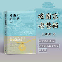 老南京 老巷裆