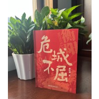 危城不屈（全景式揭秘衡阳保卫战鲜为人知的细节）