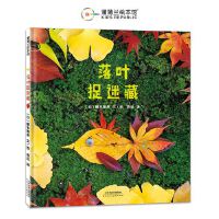落叶捉迷藏（实物造型，实景拍摄，想象力和动手力完美结合）
