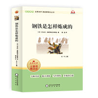 钢铁是怎样练成的