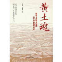 黄土魂：职田人民综合治理山水田林路村纪实