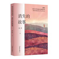 消失的故事（中国少数民族文学之星丛书2024年卷）