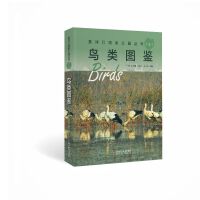黄河口国家公园丛书（三）鸟类图鉴