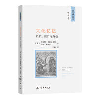 文化记忆：抵抗、信仰与身份(历史与理论译丛)