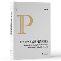 公共安全多元协同治理研究