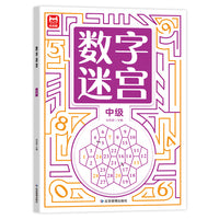 数字迷宫中级单本 3-6岁迷宫训练书学前训练数字儿童幼儿头脑潜能开发走迷宫图画捉迷藏大探险逻辑思维数感启蒙训练早教益智玩具游戏书