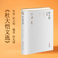 杜大恺文选