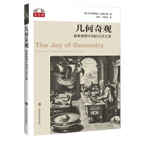 几何奇观：探索意想不到的几何之美（“数学桥”丛书）