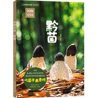 风物中国·黔菌