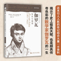 伽罗瓦——智性与激情（数学家传记丛书）