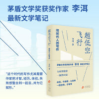 超低空飞行：同时代人的写作（李洱最新文学笔记  自我，与他者，与世界，一起在场）