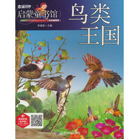 鸟类王国