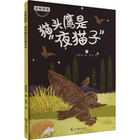 动物探索·超有趣的动物百科：猫头鹰是