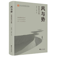 风与势：麦家研究论集