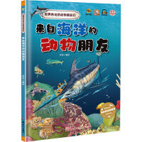 来自海洋的动物朋友