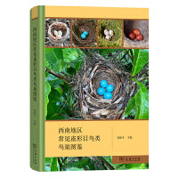 西南地区常见雀形目鸟类鸟巢图鉴