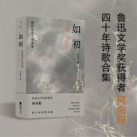 （精装）如初：何向阳四十年诗选 鲁迅文学奖获得者何向阳 四十年诗歌合集
