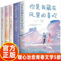 全5册你是我藏在风里的喜欢我与春风皆过客你携秋水揽星河待我洗净铅华许你十里桃花有幸被爱无畏山海懂你的人才配得上你的余生正能量文学情