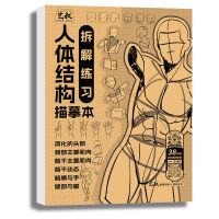 人体结构描摹本拆解练习