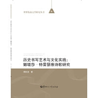 历史书写艺术与文化实践：娜塔莎·特雷瑟维诗歌研究