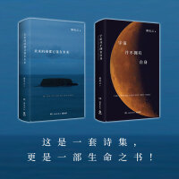 《灵魂将如其所是》诗集套装（宇宙并不拥有自身+未来的雨都已落在未来，文津奖得主熊培云畅销诗集套装！）