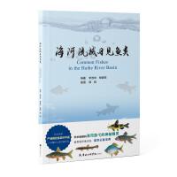 海河流域习见鱼类 鱼l类爱好者科普书 国内首次系统地对鱼类描绘的科学画 海河流域内鱼类形态学特征、生理学知识、行为学故事的著作