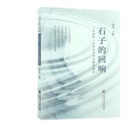 石子的回响