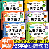启蒙识字组词造句书【全套6册】学前识字书幼儿认字幼儿园大班宝宝启蒙早教书小孩生字组词造句训练大全学前班儿童益智书籍幼小衔接教材正版