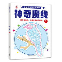 全脑开发专注力挑战-神奇魔线1