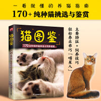 猫图鉴：170余种纯种猫挑选与饲养指南，幼猫与成猫外观展示饲养、繁育一看就会，轻松养出漂亮的“喵星人”