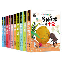 启蒙认知游戏翻翻书