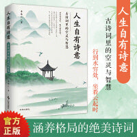 人生自有诗意.古诗词里的空灵与智慧