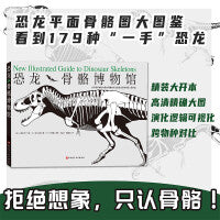 恐龙骨骼博物馆