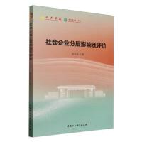 社会企业分层影响及评价